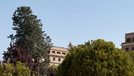 Complutense University Of Madrid : Rankings, Fees & Courses Details ...